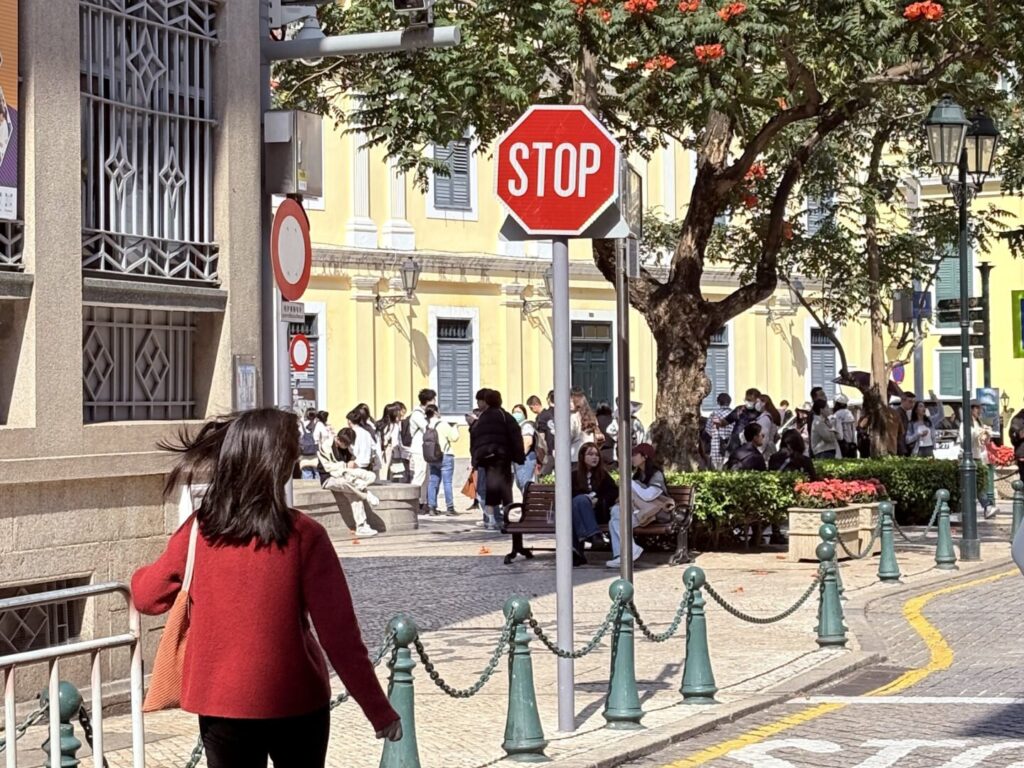 澳門市區街景，聖若瑟中學附近的石板路與紅花盛開的大樹，午後陽光下的行人與 STOP 交通標誌，展現澳門旅遊所見的澳門舊城區生活氛圍