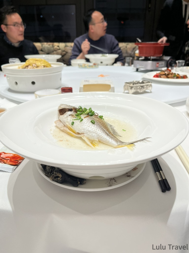 中國出差廠商招待的清蒸魚料理，整條魚盛於白色深盤並撒上蔥花，背景為圓桌上多道菜餚與用餐賓客