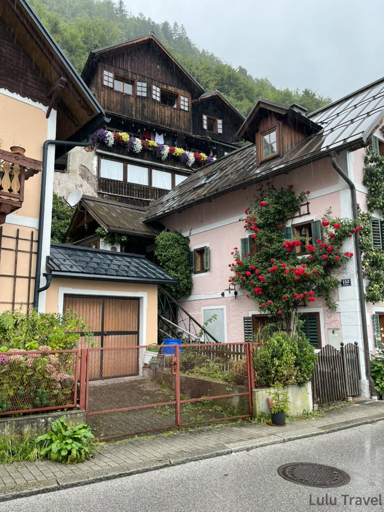 哈修塔特|從薩爾斯堡出發的真實心得與評價 哈修塔特雨天民居街景,粉色建築外牆攀爬著紅玫瑰,後方深色木造房屋陽台掛滿彩色花卉,山壁樹林為背景