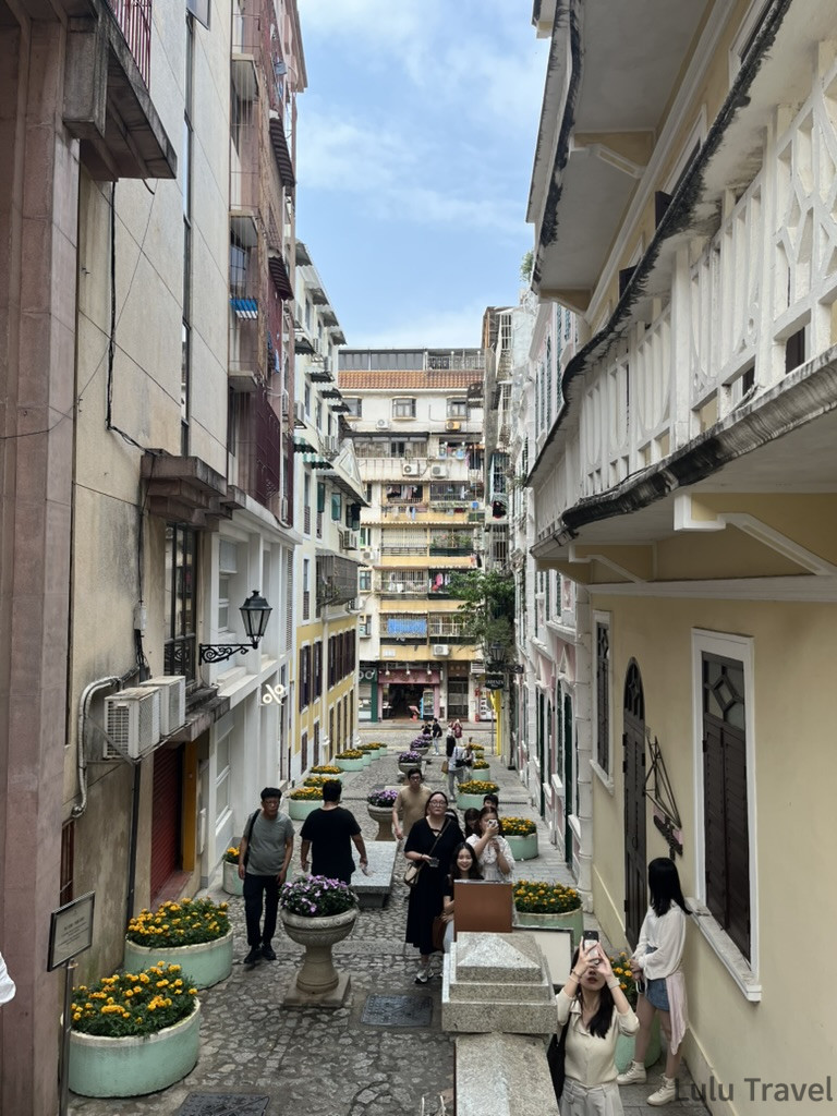 澳門戀愛巷白天景色，兩側葡式建築夾道，石板路中央擺放菊花花盆，旅客穿梭其間