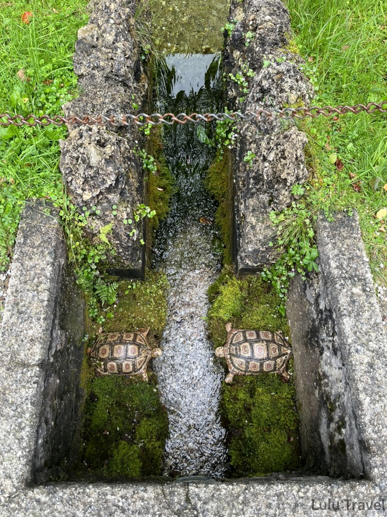 海爾布倫宮水花園石砌水道特寫，兩隻石雕烏龜對稱擺放於流水中，苔蘚覆蓋周邊石縫